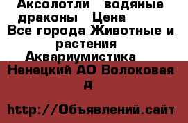 Аксолотли / водяные драконы › Цена ­ 500 - Все города Животные и растения » Аквариумистика   . Ненецкий АО,Волоковая д.